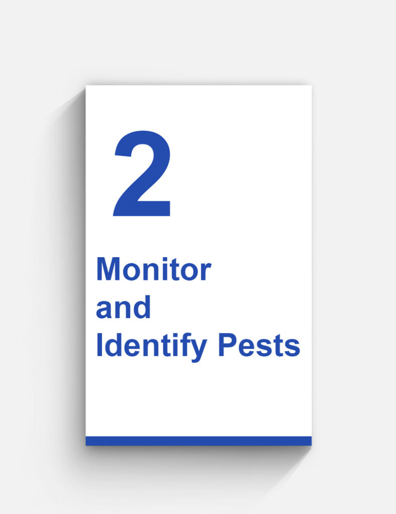 ILPC Bahrain IPM programs work to monitor for pests and identify them as step 2