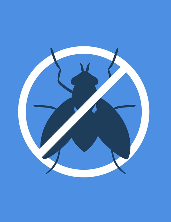 Top quality pest control in Bahrain Manamah