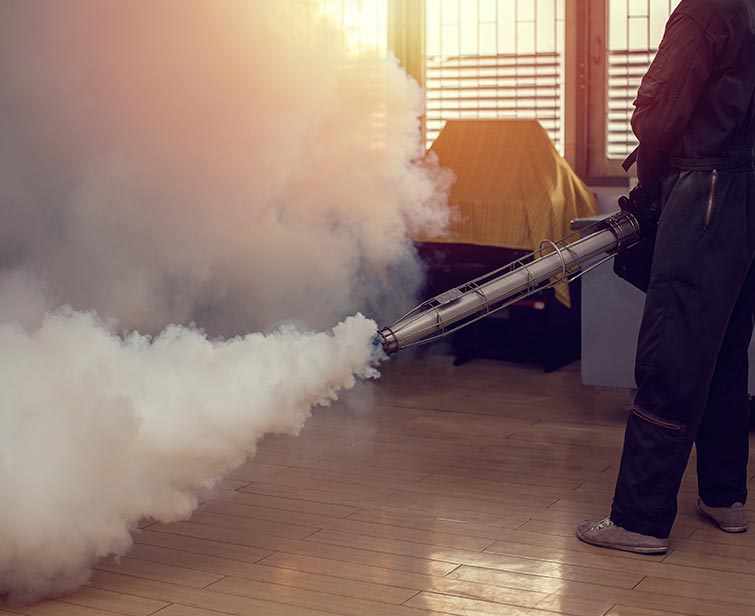 expert fumigation service in Bahrain